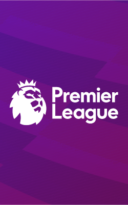 Premier League artwork